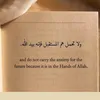 sohauila_____