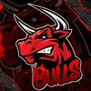 bulls_93