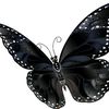 cynthiar981