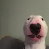 michael_monke
