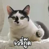 1__2__3__kv