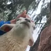 hanna_hermansen