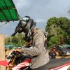 perdi_1201