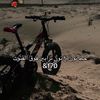 fatemehmohammad804