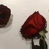 gardym_31