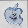 zainababubakar9462