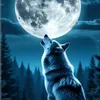 zainb3569