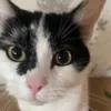 c0lcy
