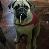 luisneyram