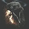 user52chonkyrat