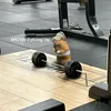 meomeogrb