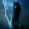 stormwolf212