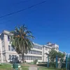 georginabl2020