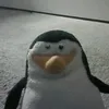 pinguim_zud0