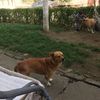 gutugheorge0
