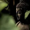 buihaiyen_12