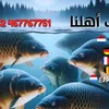 sultansulaiman_887