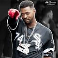 whitesoxstan