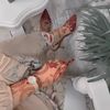 sheikhalarab27