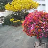 thuanngo0804