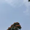12zibn