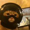 fidzz360