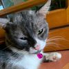 neww.name