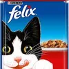 felixthecatt08