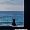 saaamw9