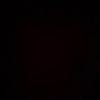 21_jerico