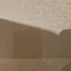 scorpion_1030