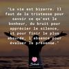 user6381295308568