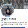 hangbee28.8