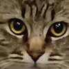 blaorpnuztp