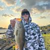 landon_roe147
