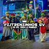 ZJ Trenzinhos ®