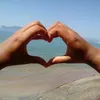 @Abílio Rodrigues 1511