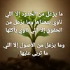 19mustfa