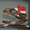 tammytrex78