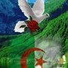 sidahmedblidi4