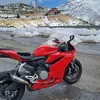 alexpanigale959
