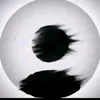 almer_met56