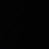 lemn011