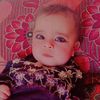 804farisha