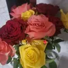 maryamqureshli