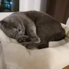 maximtobe