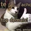 lucca57567