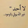 user1035498788904