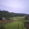 modeffa12