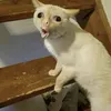 usereeh5pqyfe7